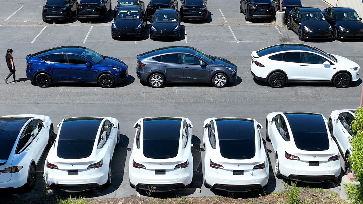 Electric cars lined up in parking lot