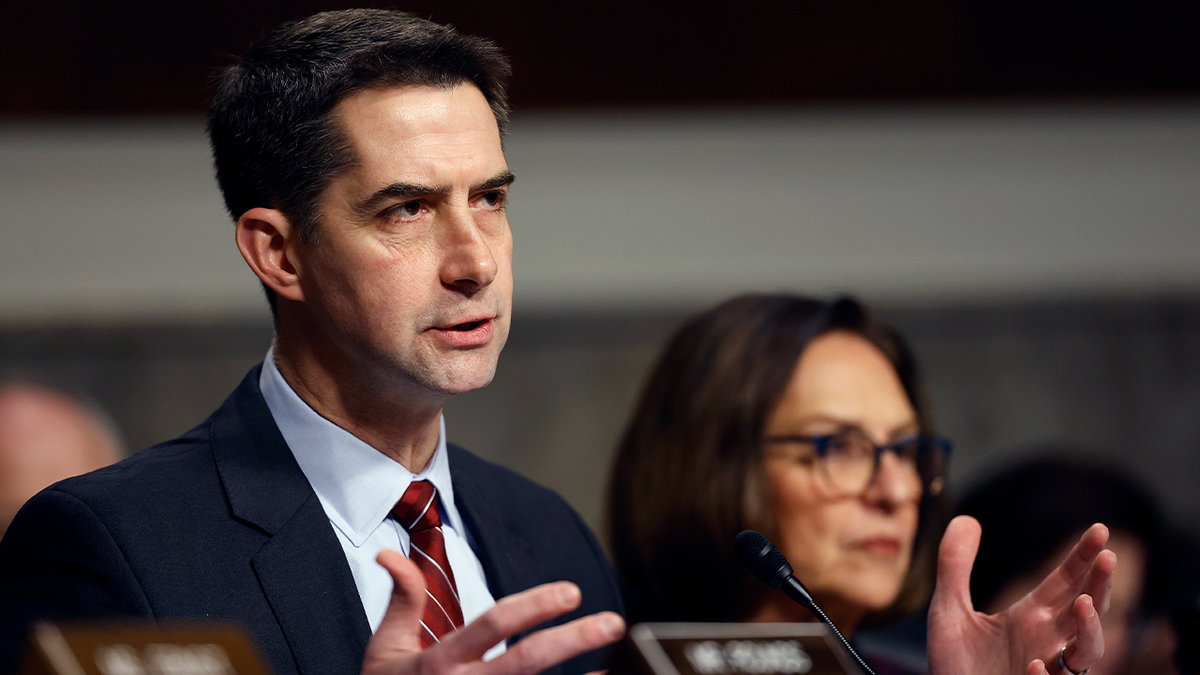 Tom Cotton in hearing