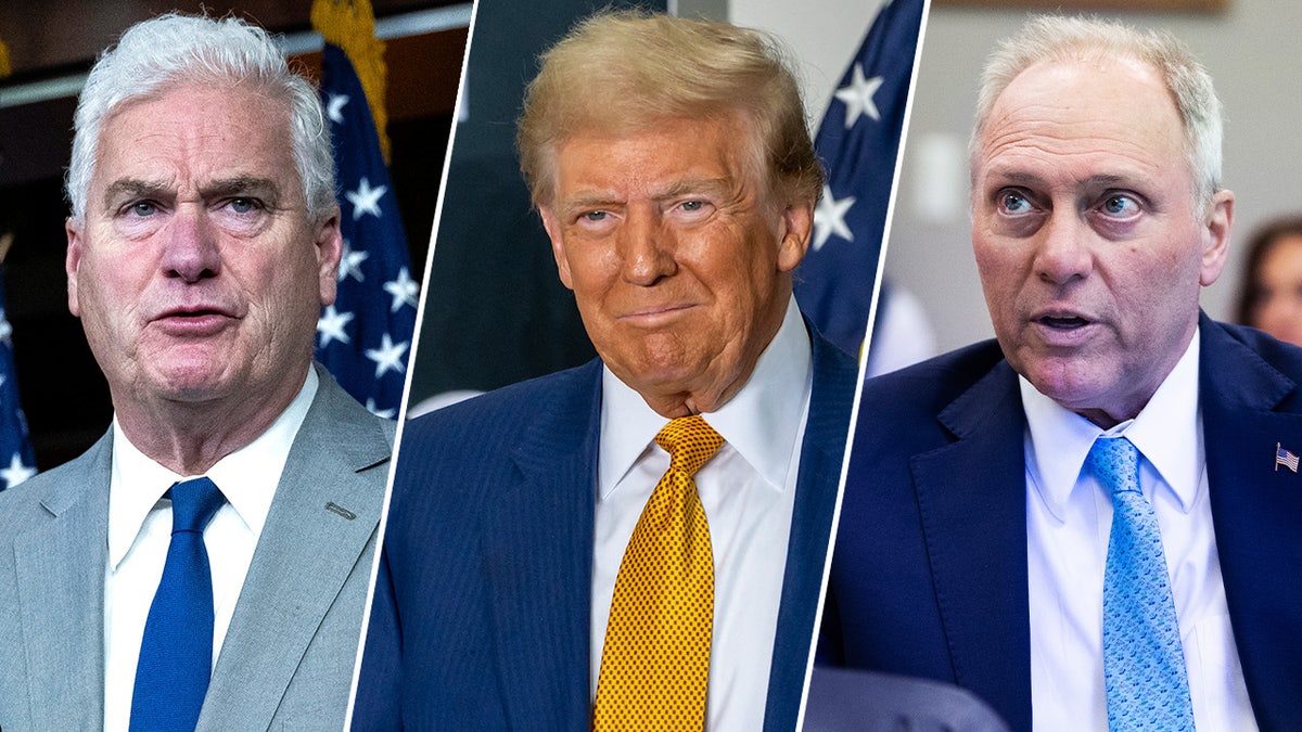 Donald Trump, Steve Scalise, Tom Emmer