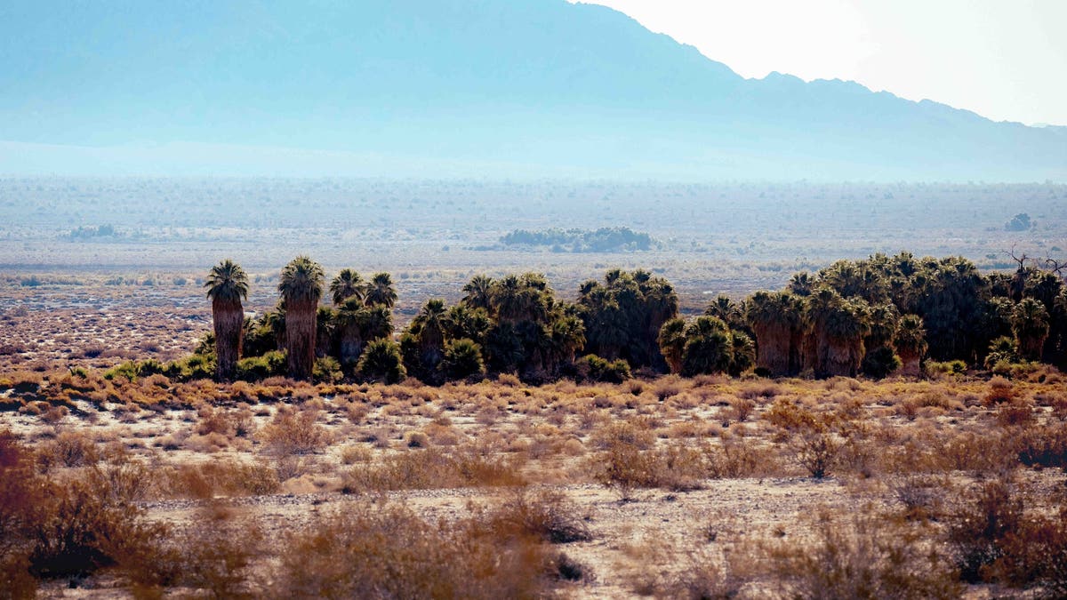 Chuckwalla Valley