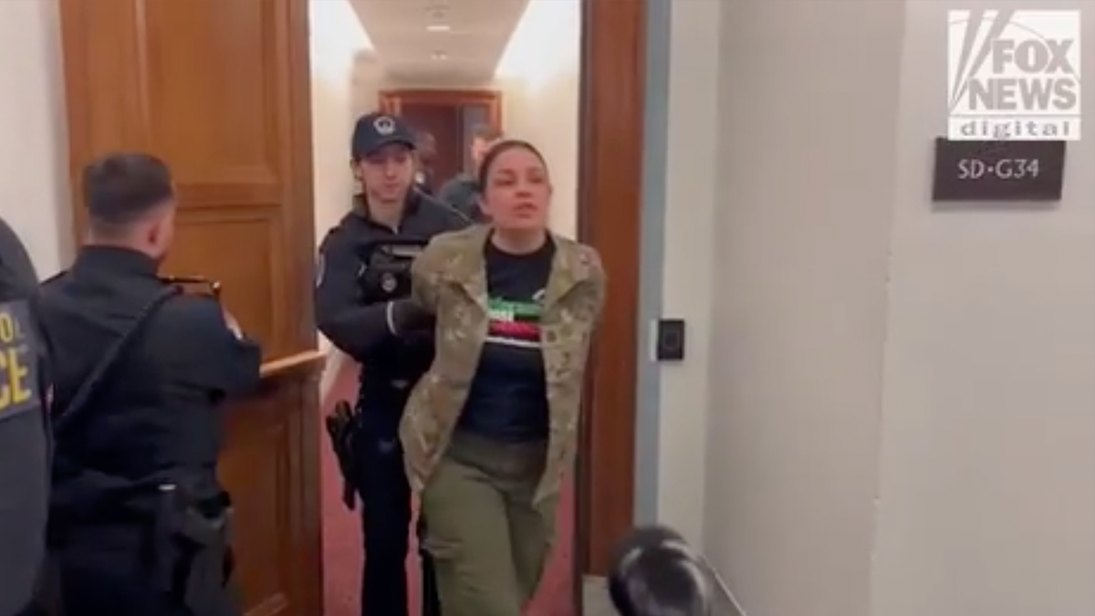 protester in Palestinian t-shirt escorted from Senate hearing