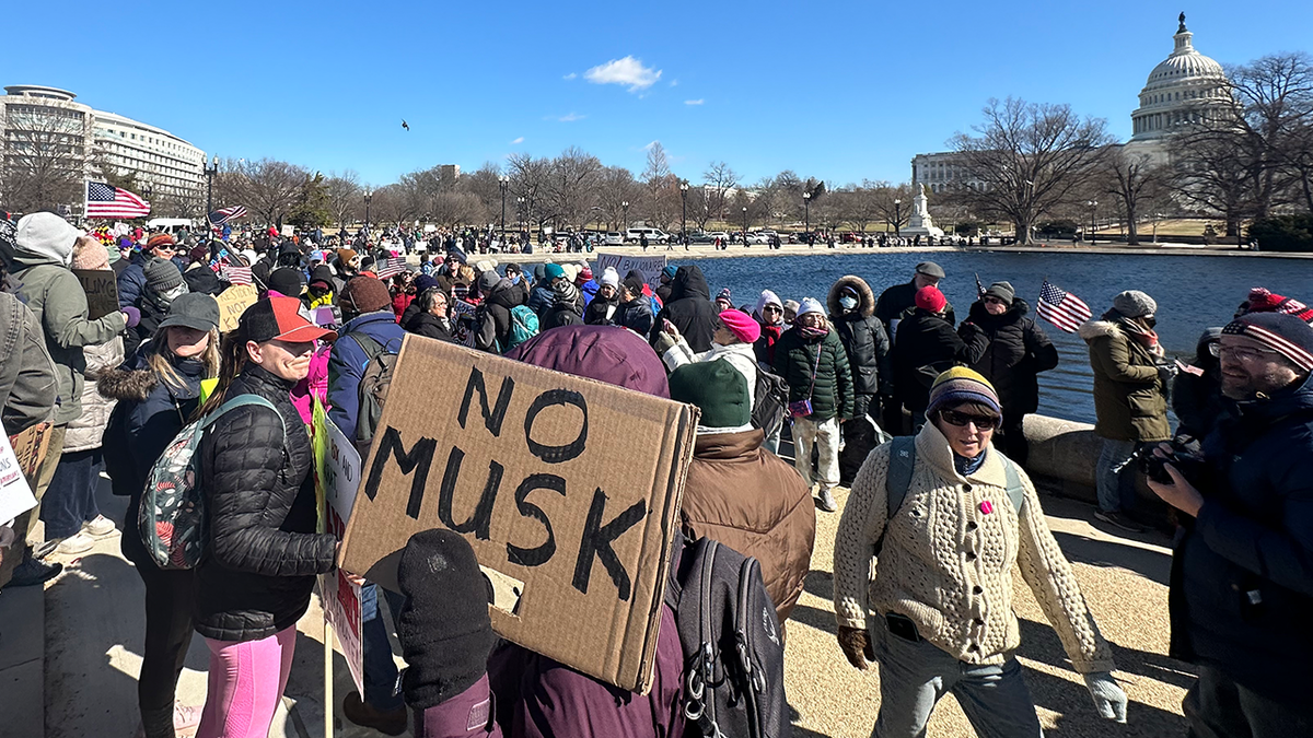 Anti-Musk protesters gather on National Mall