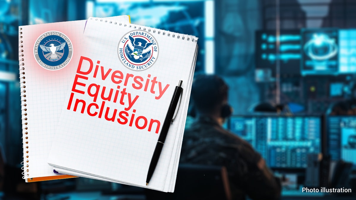 Department of Homeland Security Diversity equity inclusion