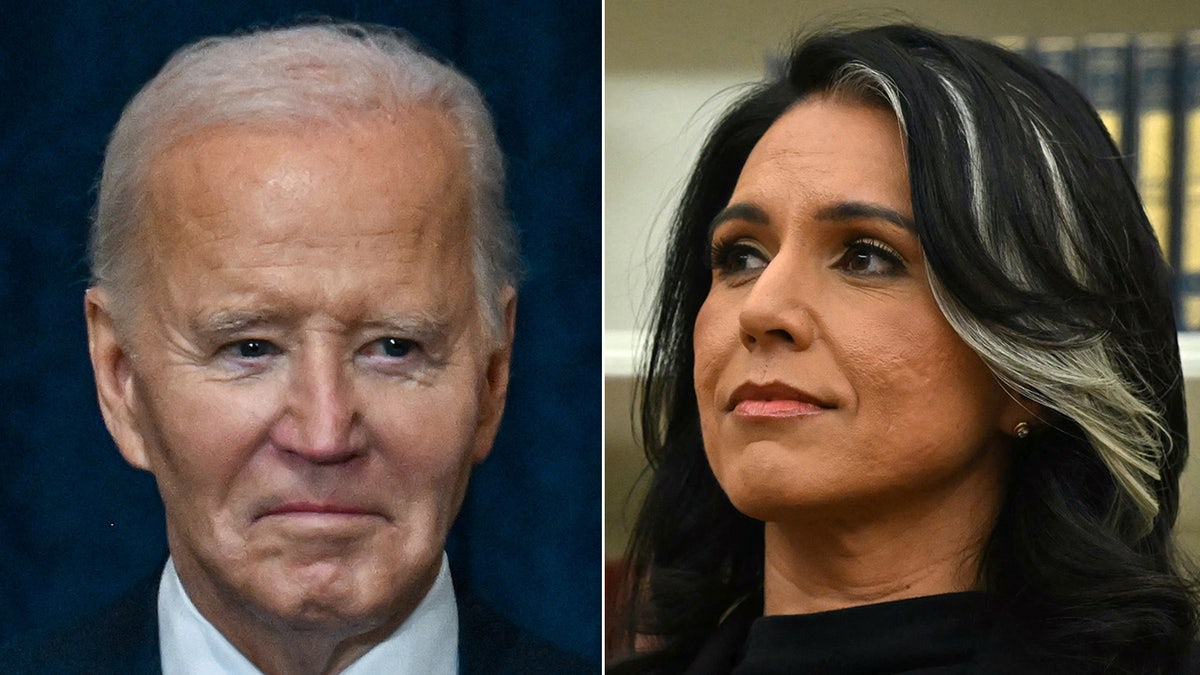 Joe Biden, Tulsi Gabbard