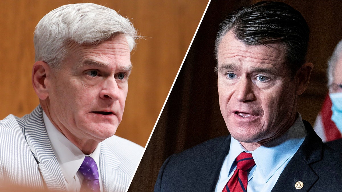 Bill Cassidy, Todd Young