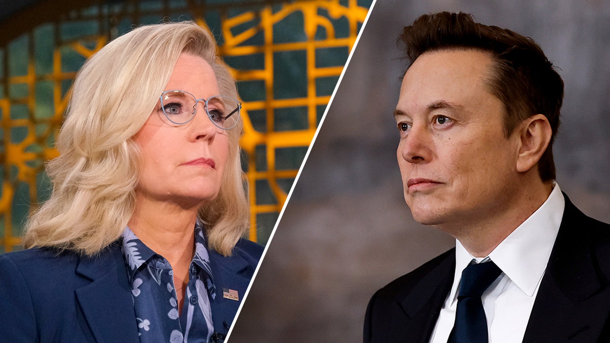 Left: Former Rep. Liz Cheney; Right: Elon Musk