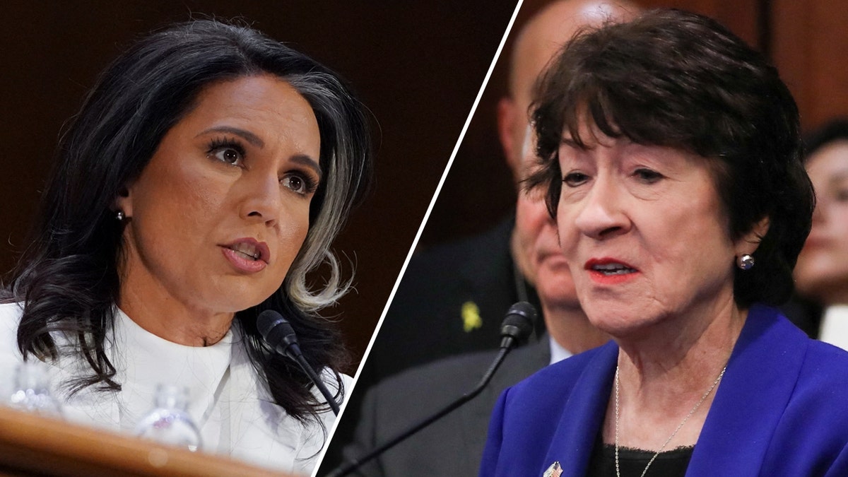 Tulsi Gabbard, Susan Collins