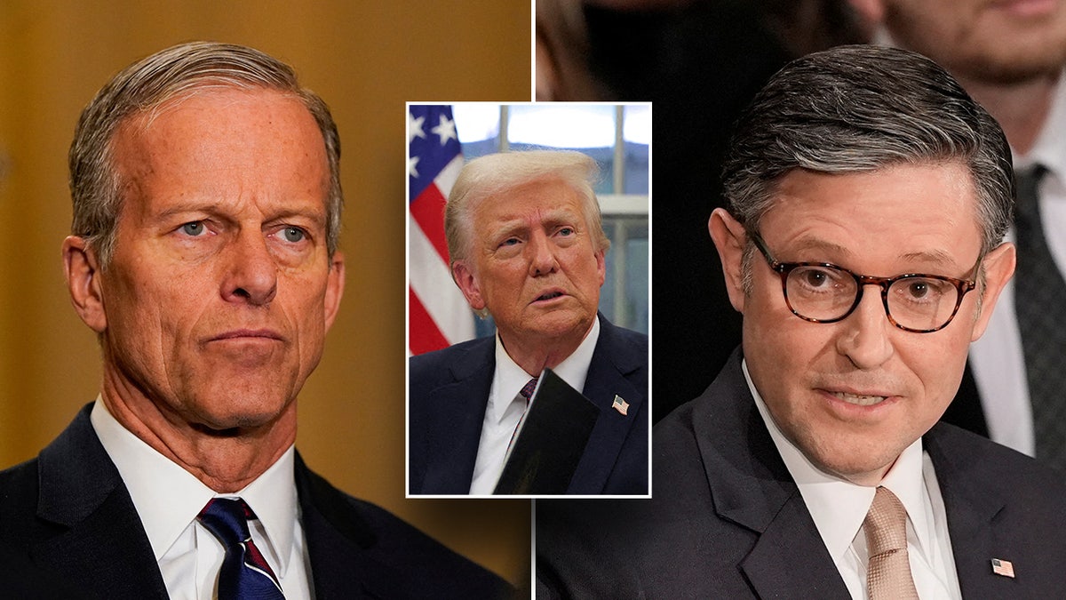 John Thune, Donald Trump, Mike Johnson