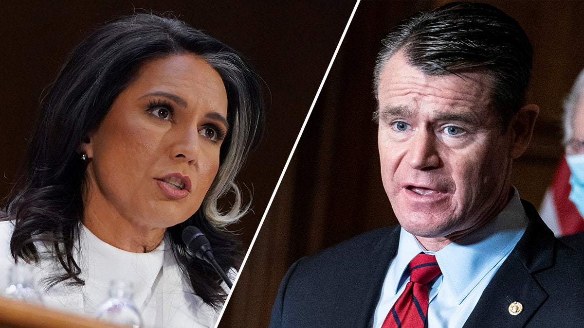 Tulsi Gabbard, Todd Young