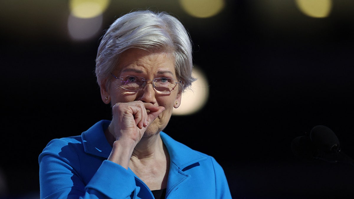 Elizabeth Warren takes the stage on Day 4 of the Democratic National Convention