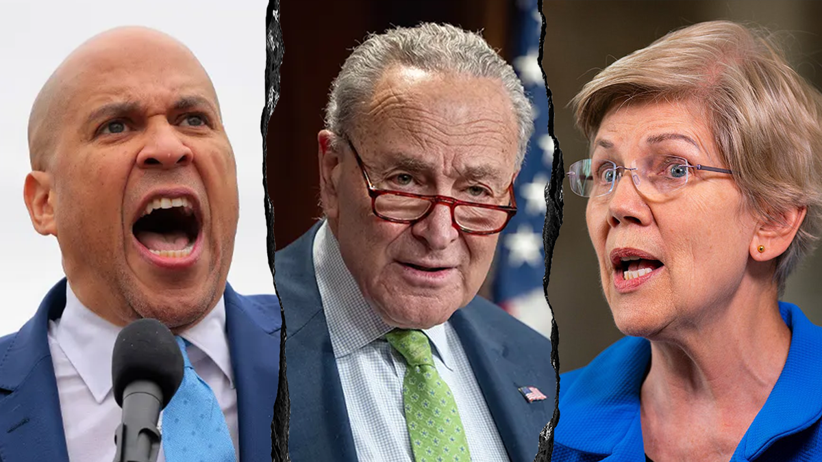 booker/schumer/warren