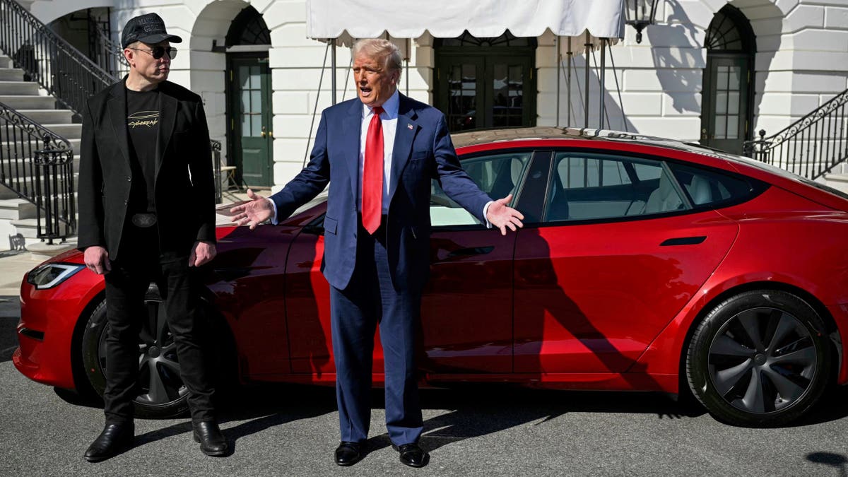 President Donald Trump and Tesla CEO Elon Musk speak to reporters near a red Model S Tesla vehicle on the South Lawn of the White House, March 11, 2025, in Washington.