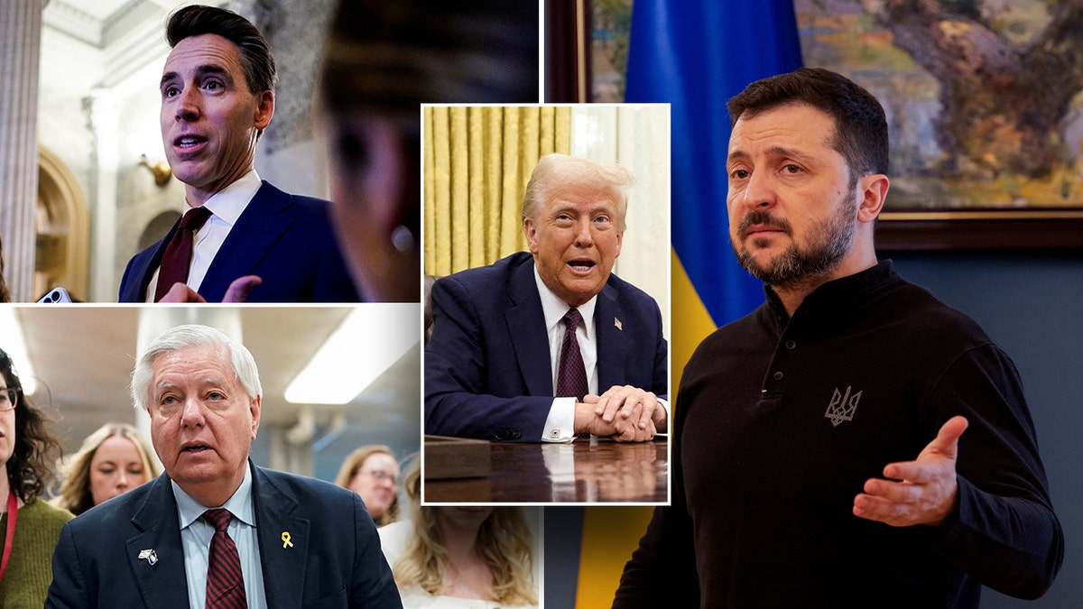 Senators react to Trump calling Zelenskyy a 'dictator'