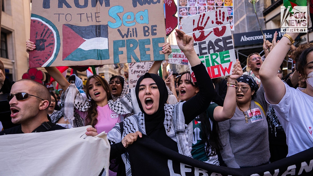 anti-Israel protesters in New York City