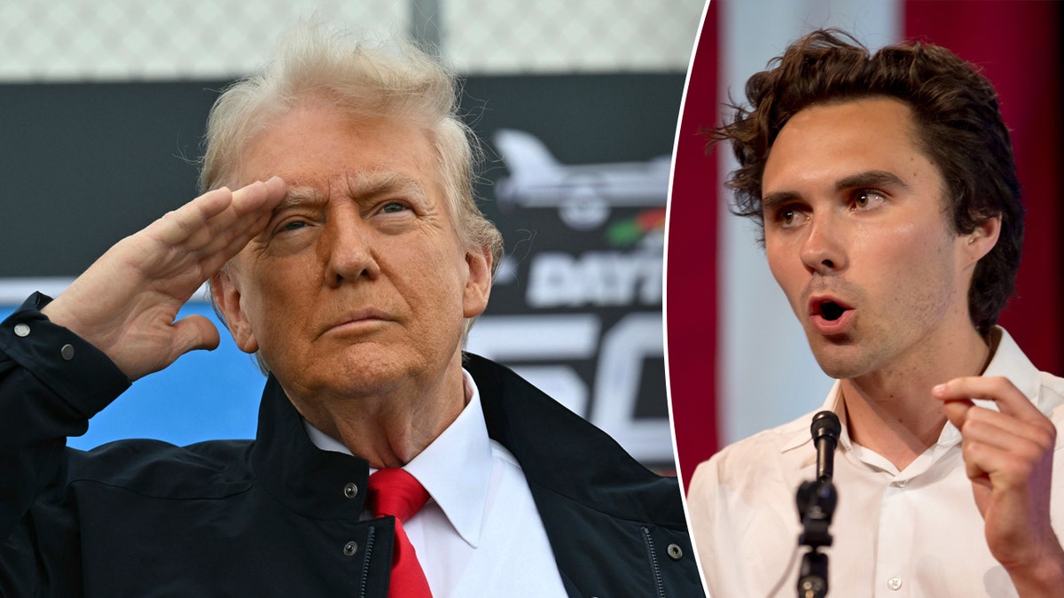 Hogg and Trump
