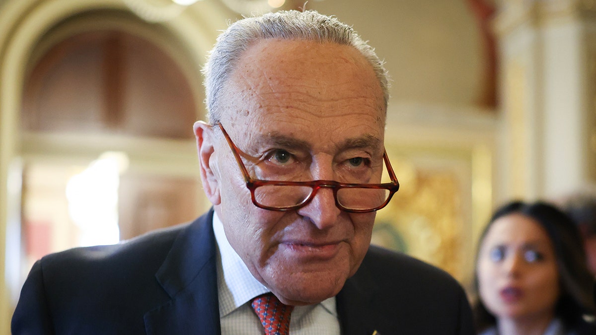 Sen. Chuck Schumer closeup