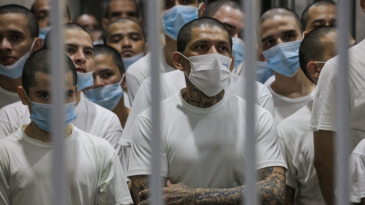 Gang members seen in a cell at the Terrorism Confinement Center, or CECOT, in Tecoluca, in San Vicente, El Salvador. Photo via Getty Images.