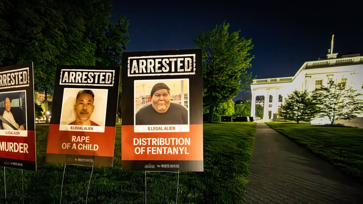 Illegal immigrant posters at the White House