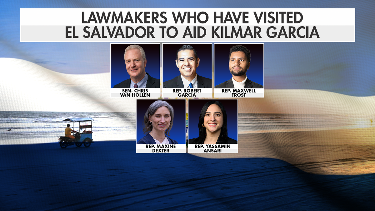 Five Democrats in a photo collage 