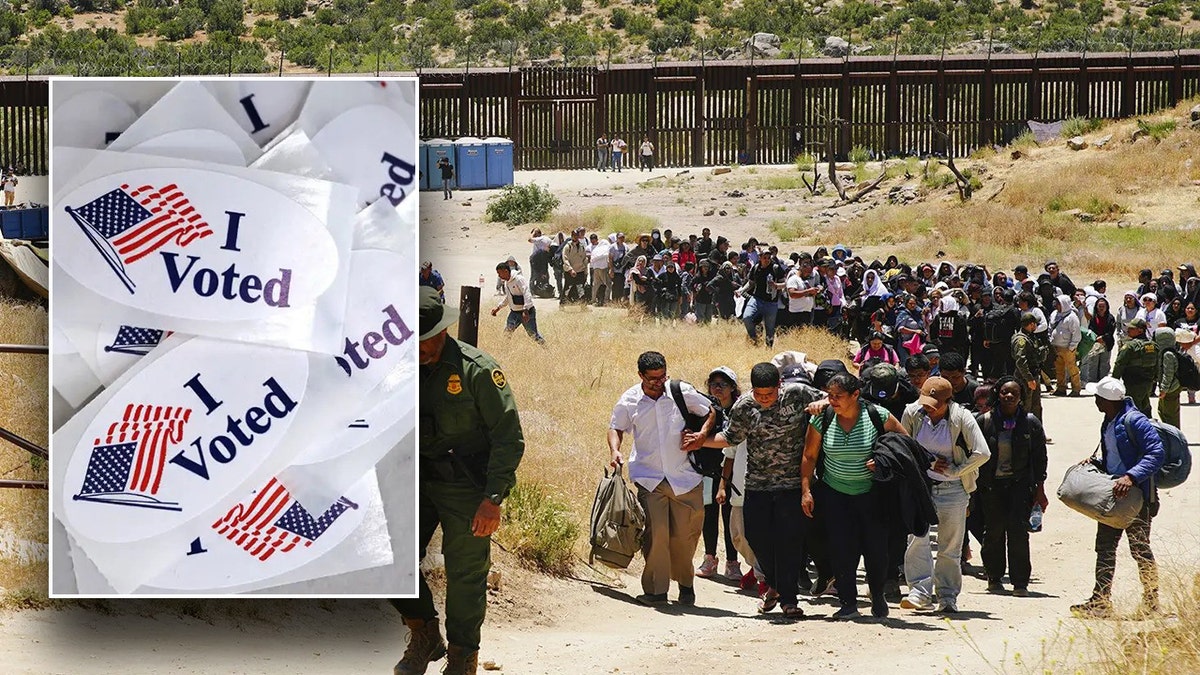 Democrat rips Elon Musk for claiming illegal aliens are voting in NYC elections.