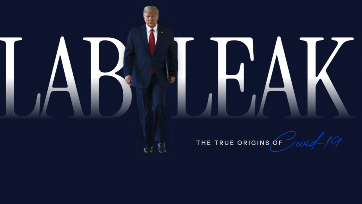 Lab leak theory 