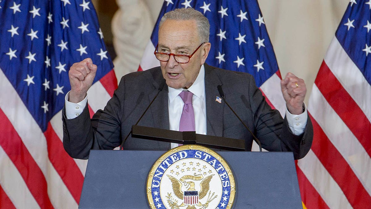 Chuck Schumer speaks