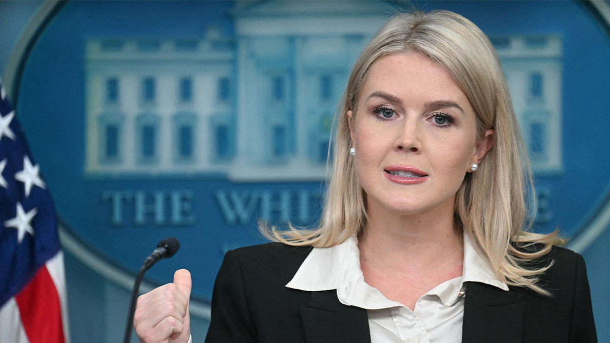 Karoline Leavitt in press briefing 