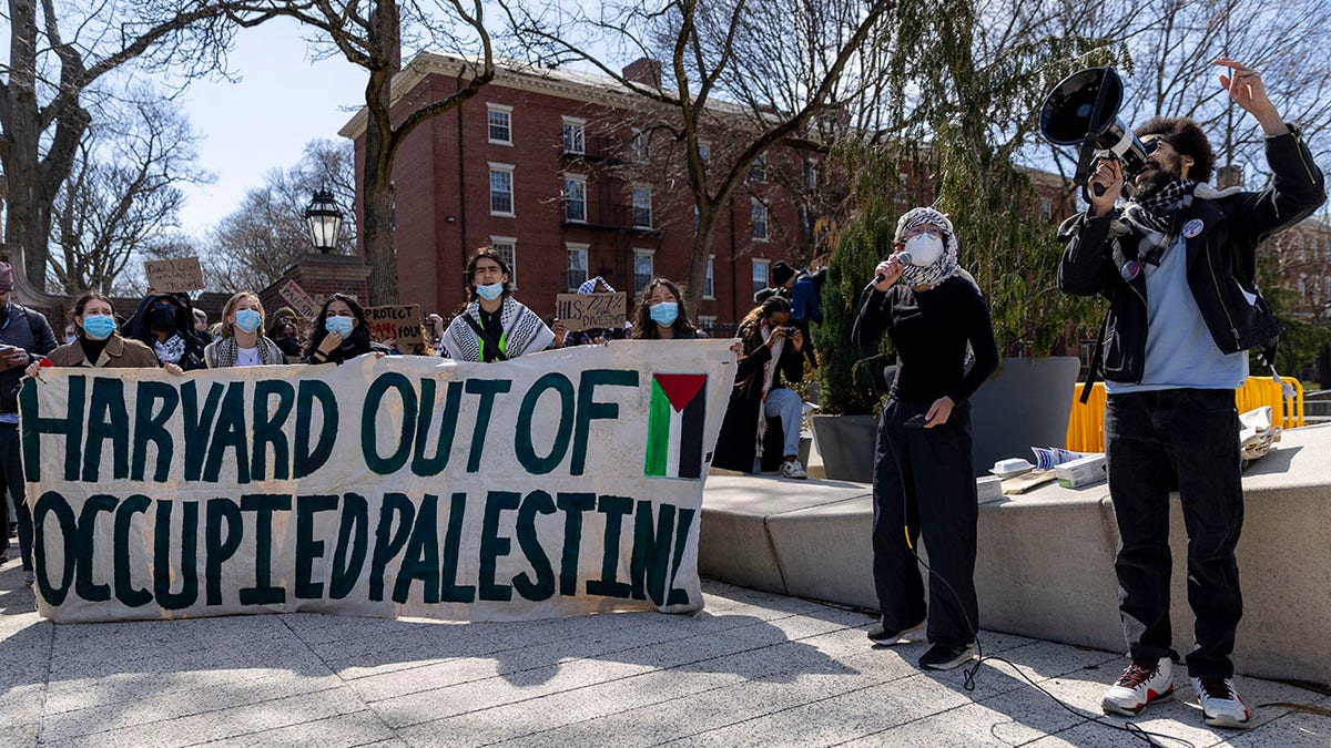 Harvard protesters show Palestine occupation sign