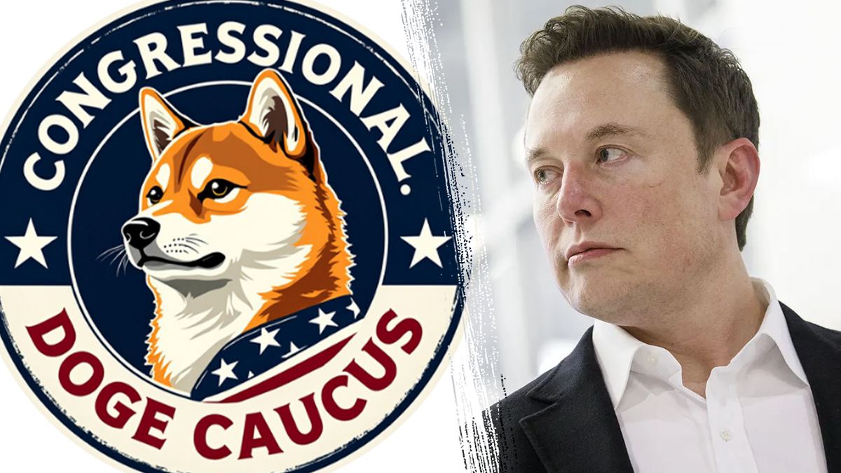 Elon Musk and DOGE Caucus logo split