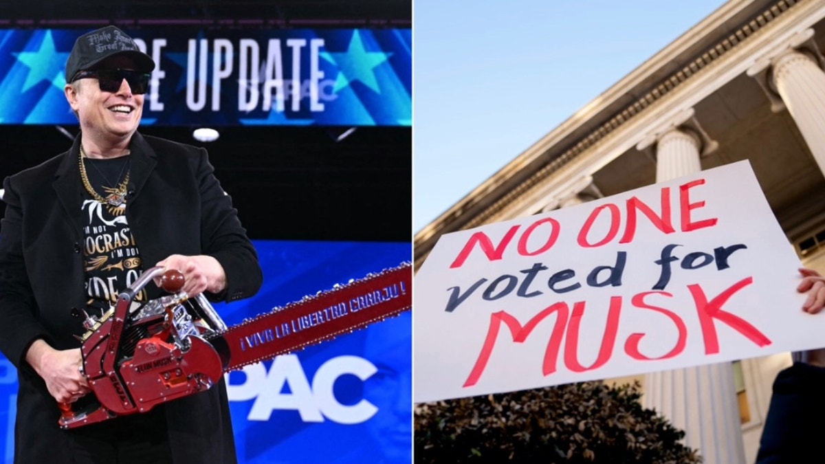 Elon Musk, left; anti-Musk sign, right