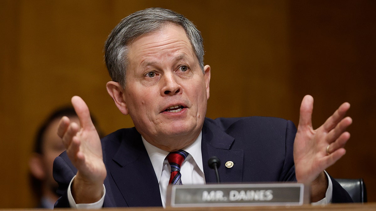 Sen. Steve Daines in committee hearing