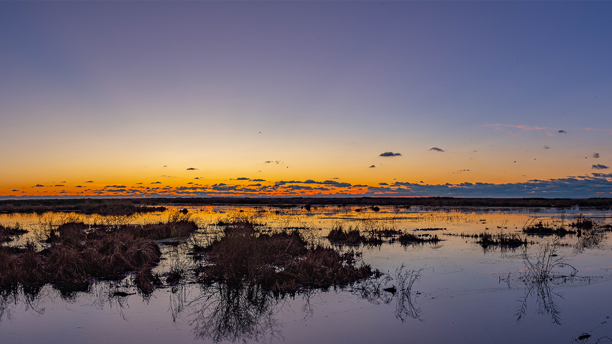 Nungaray wildlife refuge at twilight