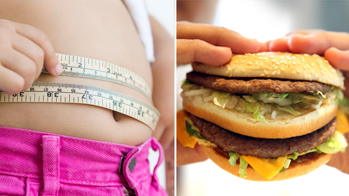 junk food obesity thumb