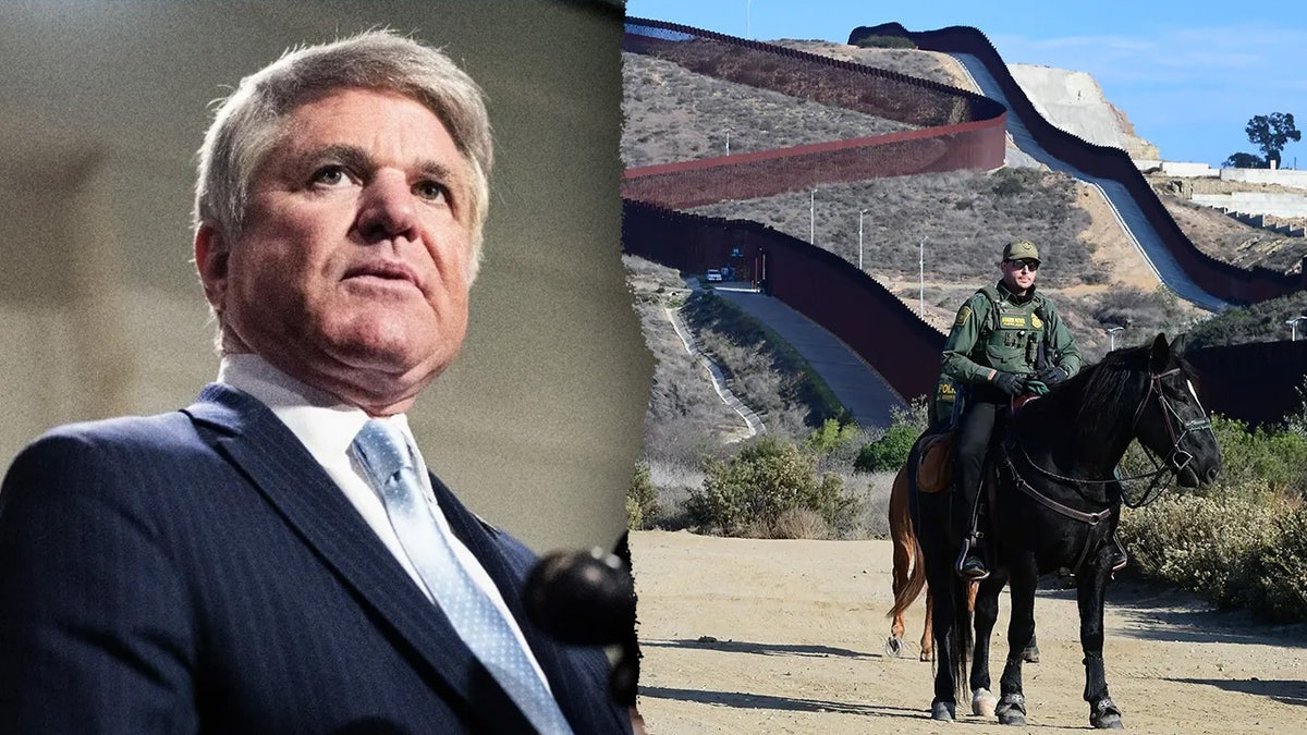 Michael McCaul, border