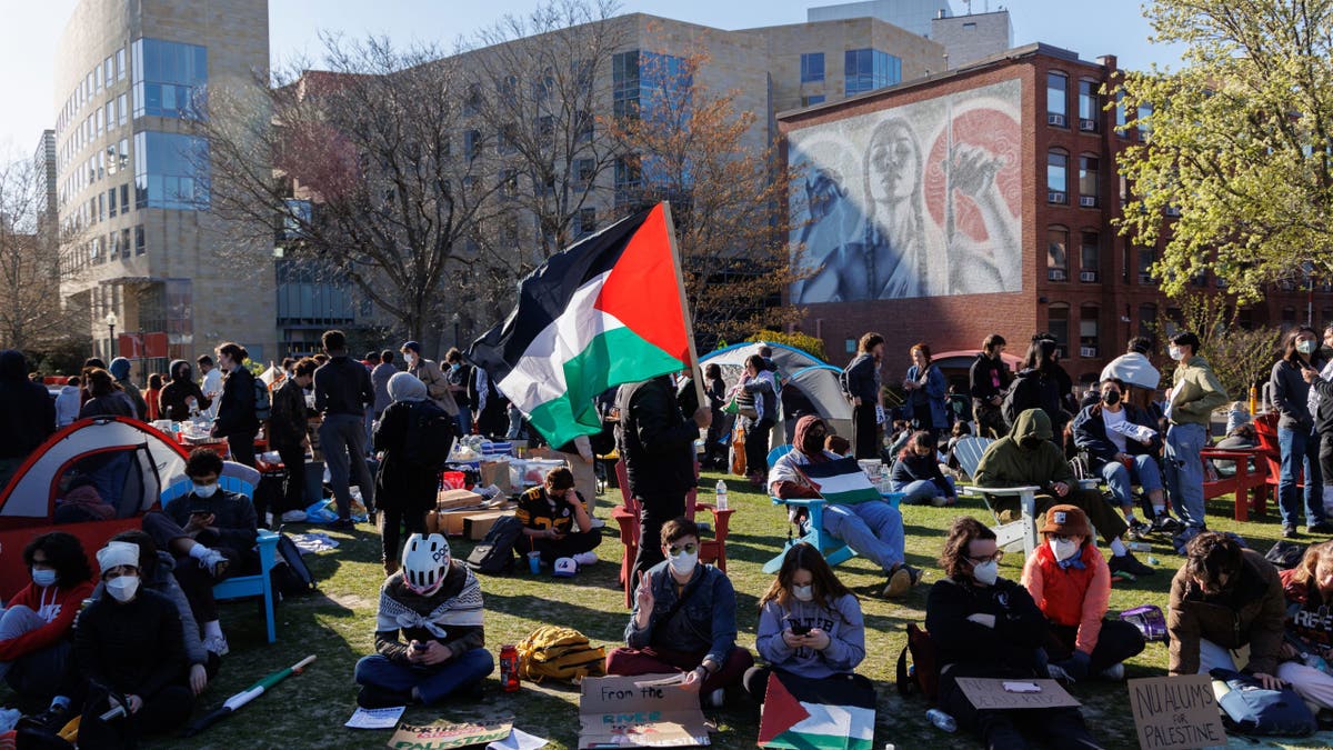 Anti-Israel Northeastern University students support for those camping in Harvard Yard