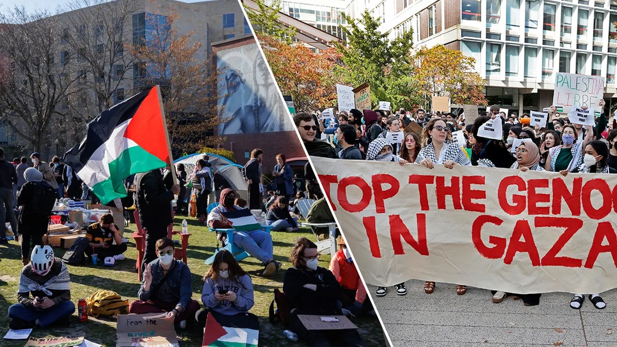 Harvard pro-Palestinian protests