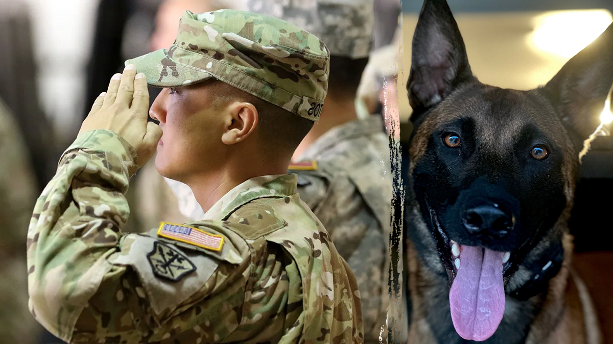 Through Warriors Choice K9 rehabilitation program, the group matches veterans with service dogs specially bred and trained to help people suffering from PTSD and other combat-related mental health challenges.