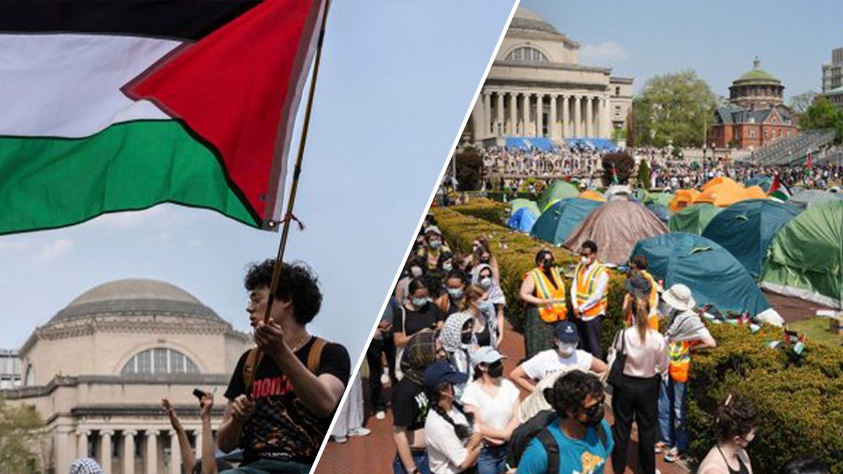 man waving Palestinian flag; protest on campus