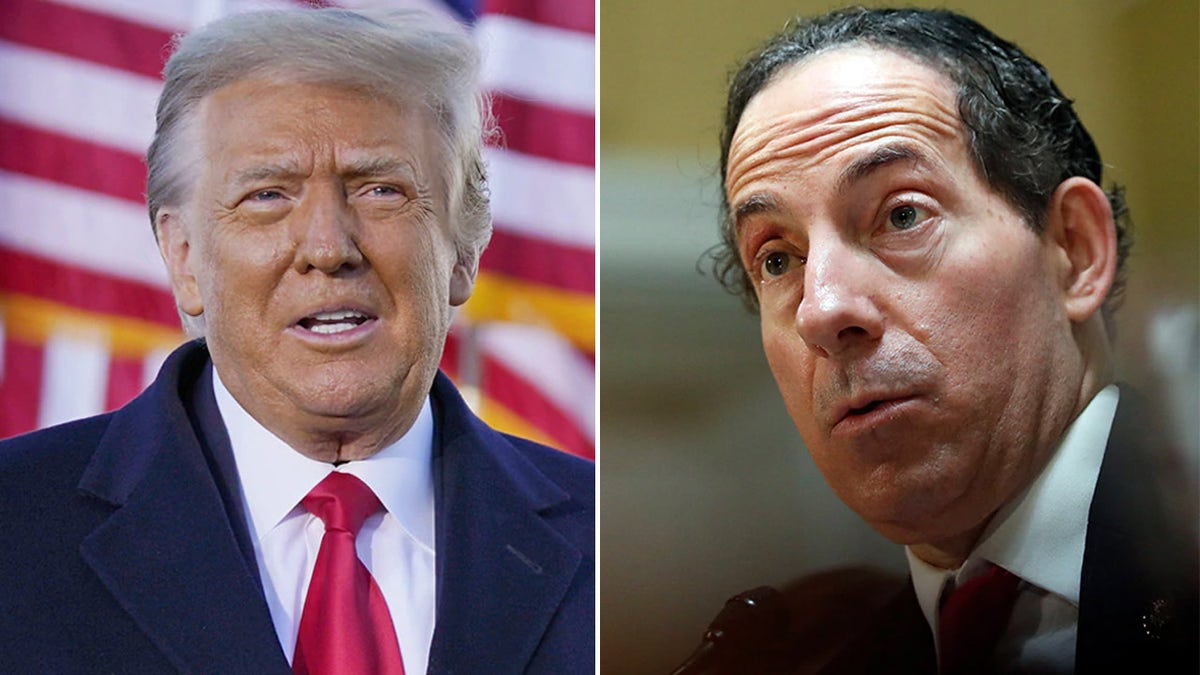 Jamie Raskin, Donald Trump