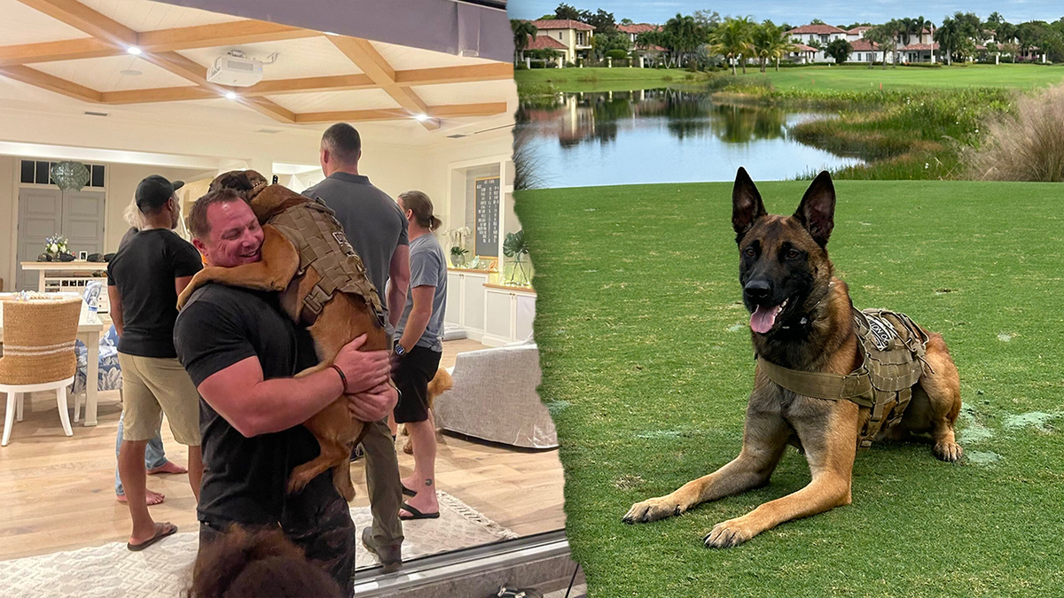 Pictured on the left and right is "Trump" the service dog. Longo said Trump was "the best" and the hardest one to let go." Trump the service dog is now the companion to a 20-year special operations veteran, and Longo said he feels "blessed" to be a part of "what that dog has helped that man through."