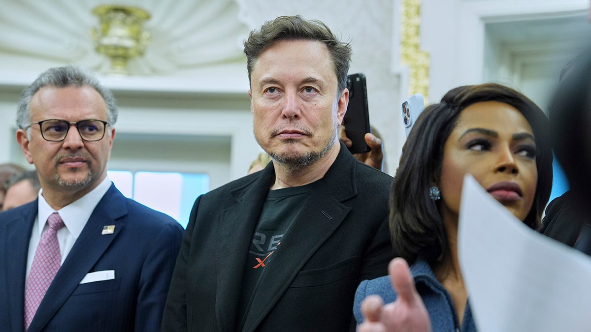 Elon Musk at White House with others