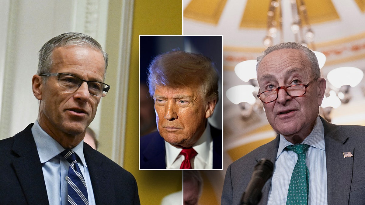 John Thune, Donald Trump, Chuck Schumer