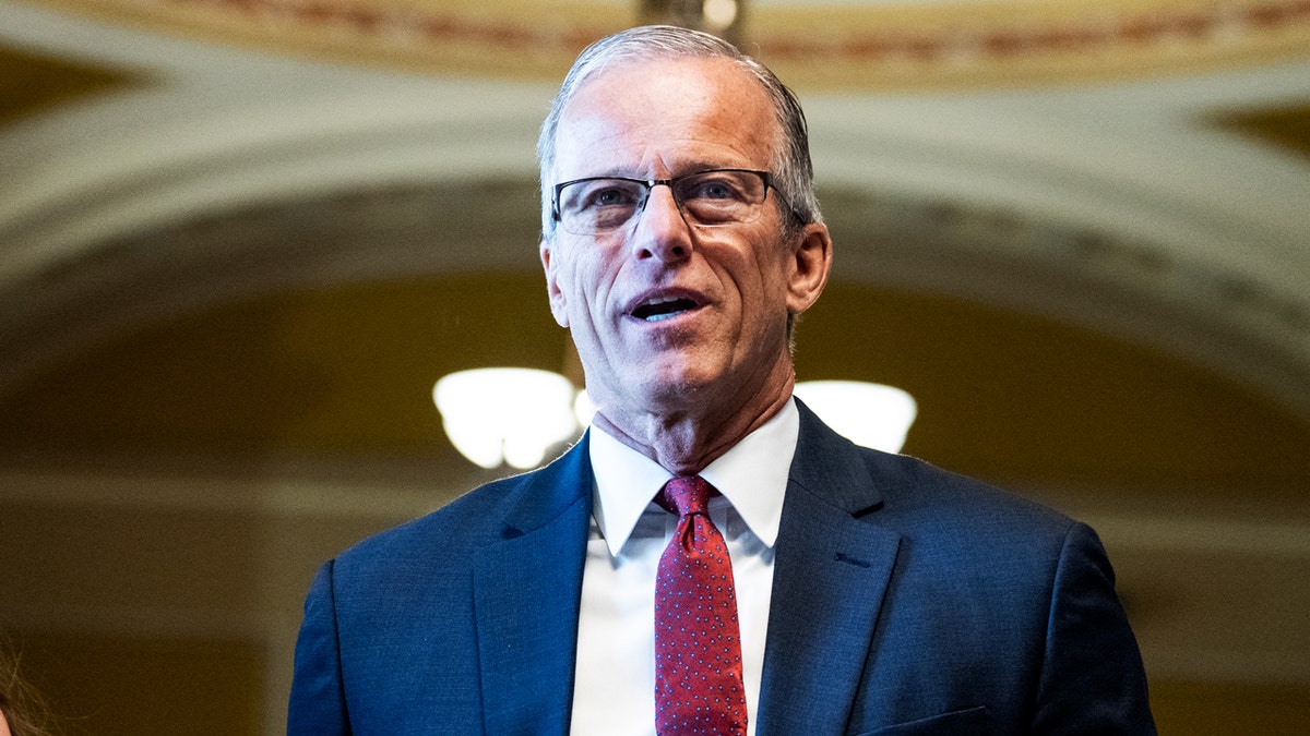 John Thune