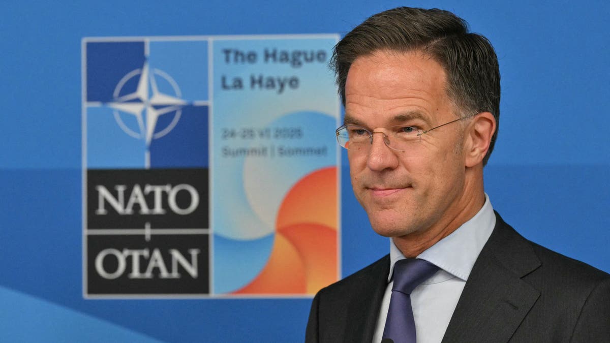 NATO Secretary General Mark Rutte looks on during a join statement.