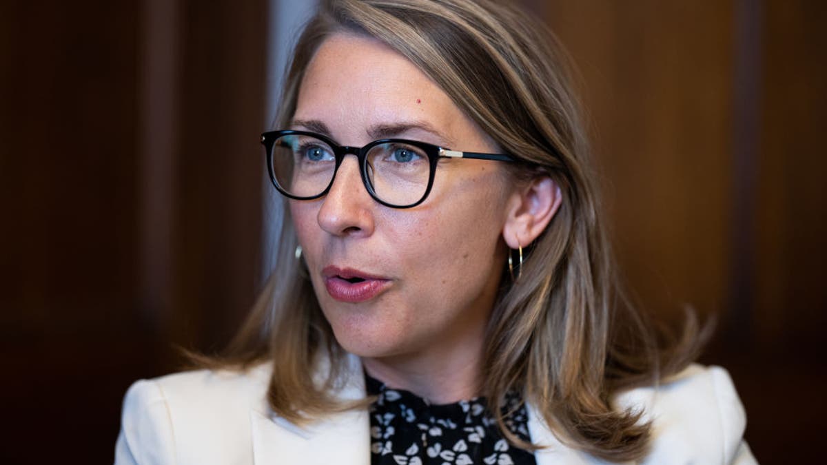 Scholten in Congress.