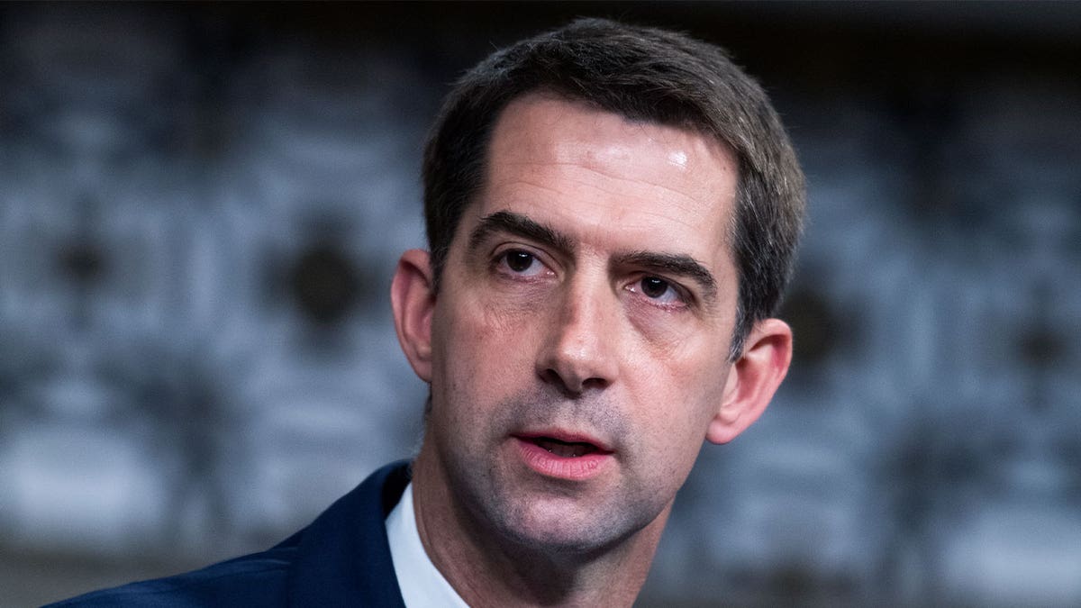 Senator Tom Cotton