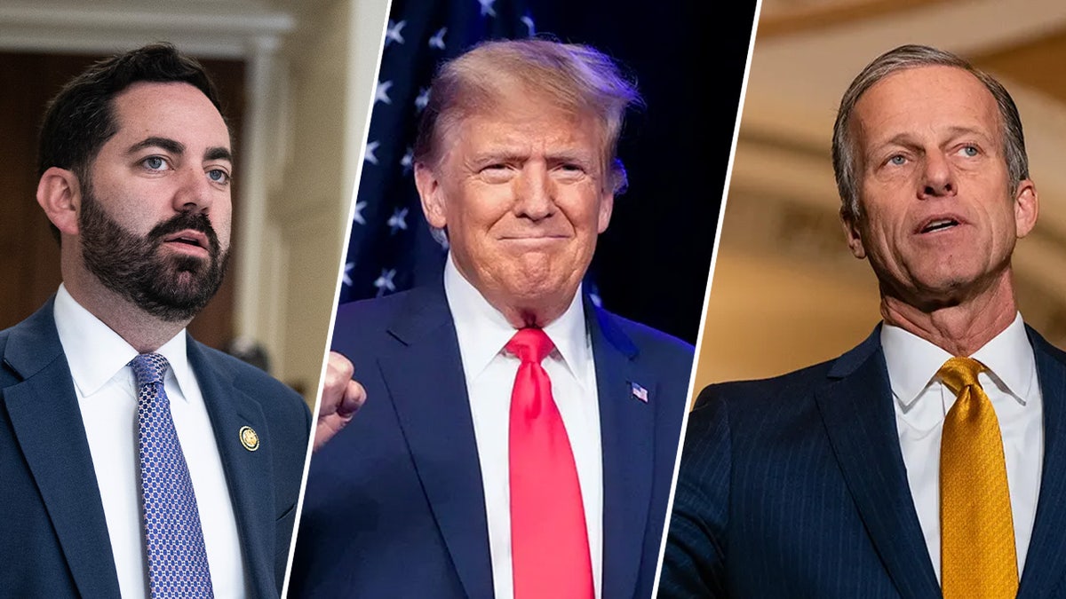 Mike Lawler, Donald Trump, John Thune