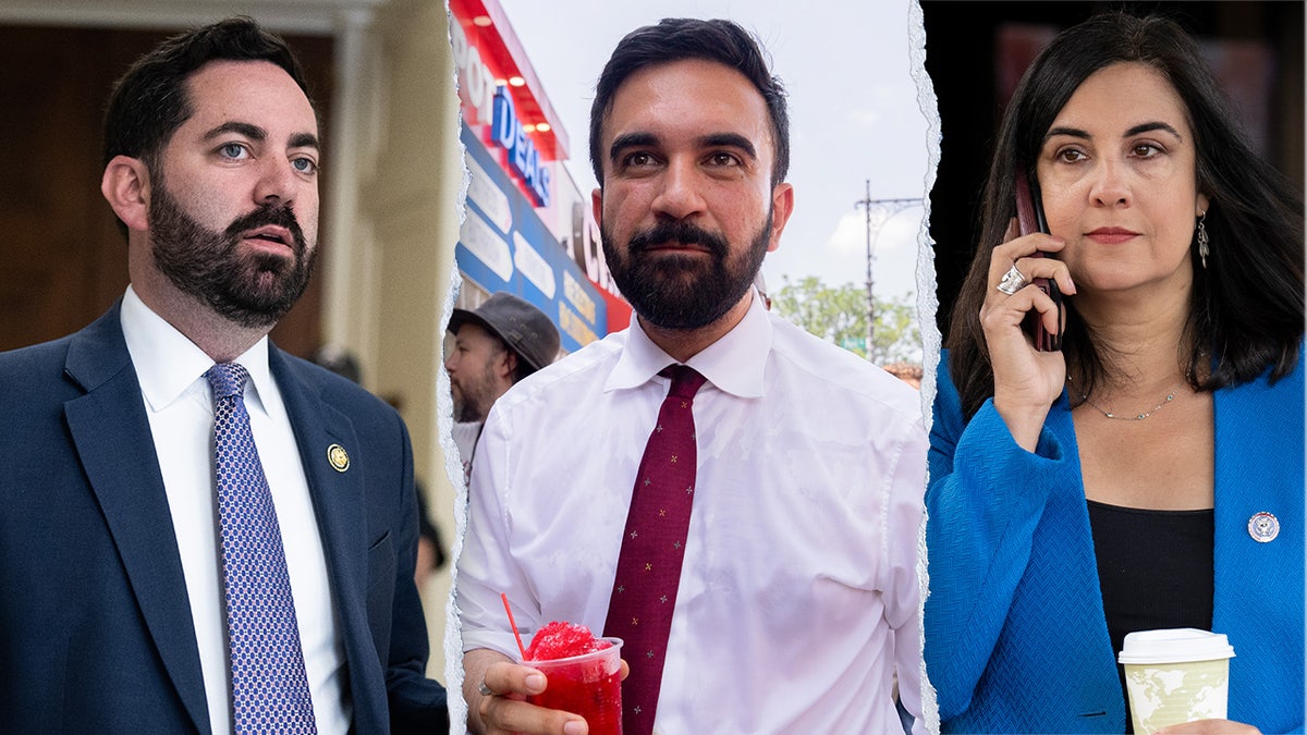 Mike Lawler, Zohran Mamdani, Nicole Malliotakis from left to right