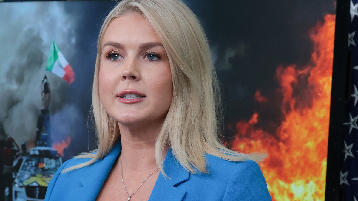 Leavitt in press briefing