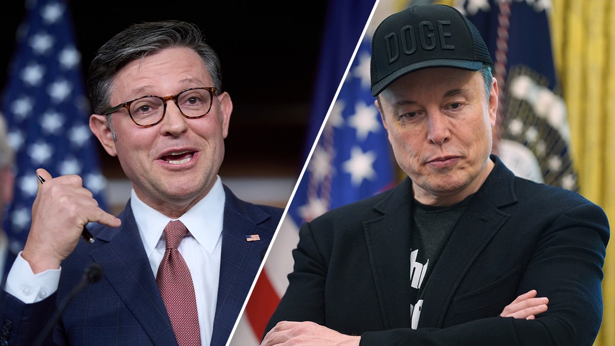 House Speaker Mike Johnson and Elon Musk